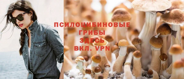 первитин Верхний Тагил