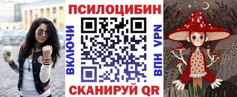 Псилоцибиновые грибы ЛСД  kraken tor  Ишим 